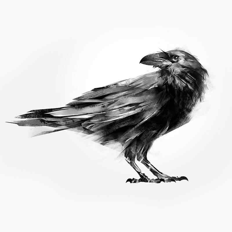 https://spotlightmakerstudios.com/wp-content/uploads/2019/03/courses_02.jpg